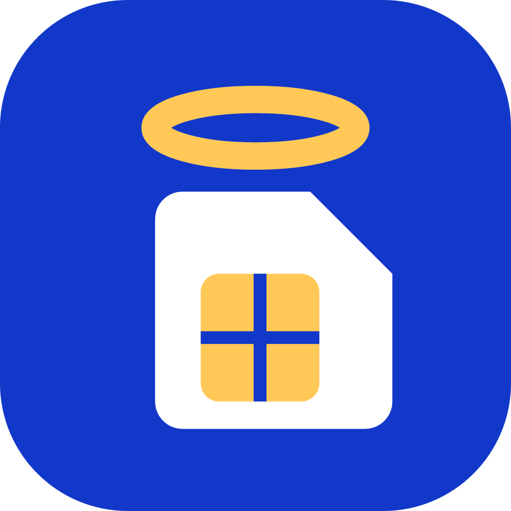 HolySim logo